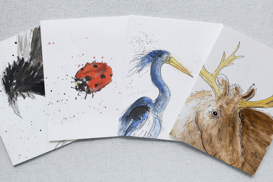 Celebrate the Flora and Fauna of Hudson’s Creek 53