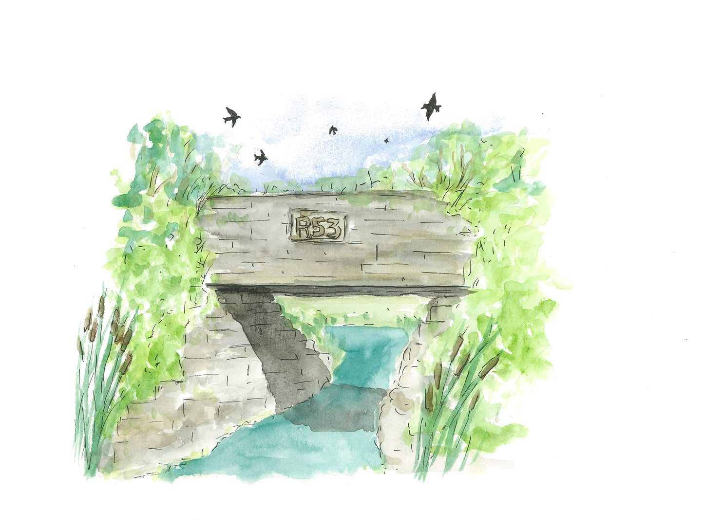 A Portrait of Astonishing Nature - Creek 53