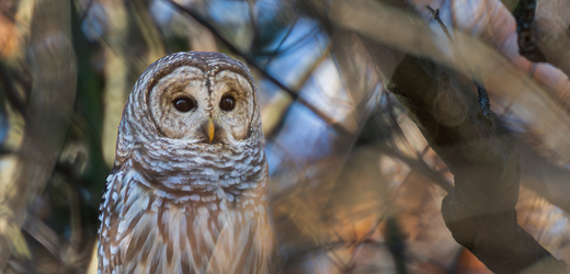 Nature Matters: wildlife, wild places, and your inner wild child